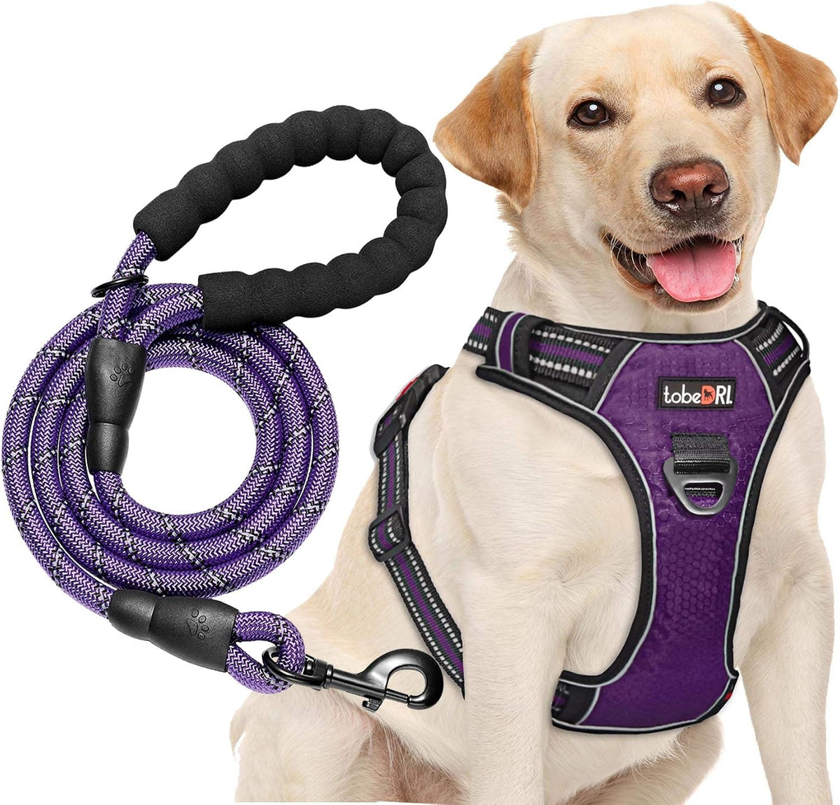 tobeDRI No Pull Dog Harness Adjustable Reflective Oxford Easy Control Medium Large Dog Harness with A Free Heavy Duty 5ft Dog Leash, Blue, L