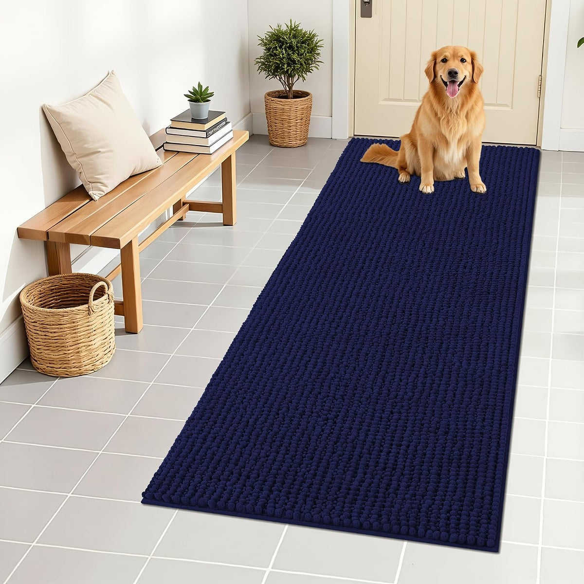 OLANLY Dog Door Mat for Muddy Paws 30x20, Extra Absorbent Chenille Mud Mat
