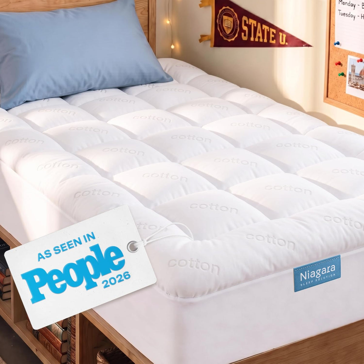 Niagara Sleep Solution Ultra Soft Queen Size Mattress Pad, Pillow Top