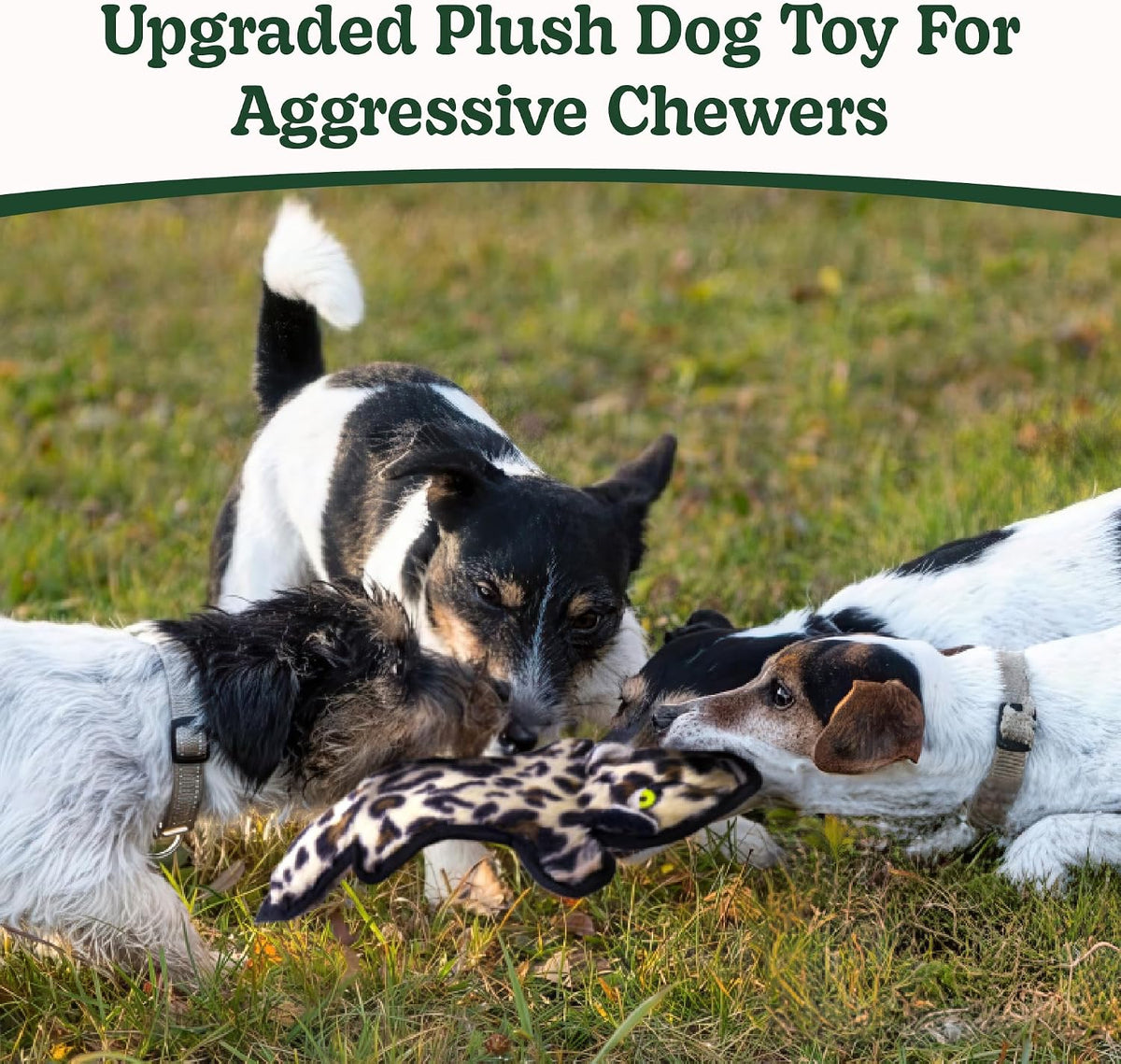SHARLOVY No Stuffing Dog Toys Crinkle Squeaky, Long Lasting Chews for Aggressive, Durable Plush Dog Puppy Chew Toys for Teething, with 6 Tough Layers for Small Medium Large Breed-5pack,Large | Durable Plush Dog Puppy Chew Toys for Teething, with 6 Tough L