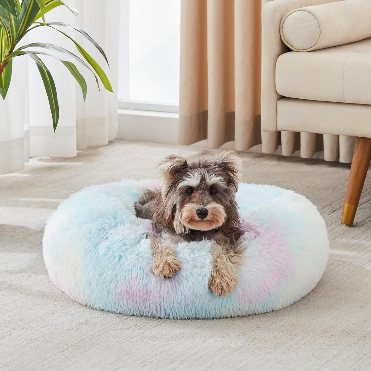Western Home Calming Donut Cat Bed Small Dog Bed Washable,20" Light Grey