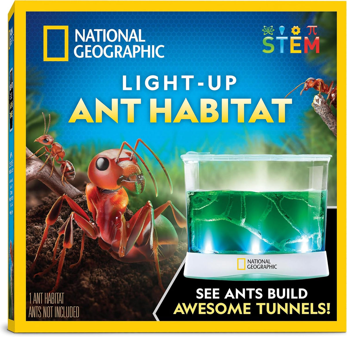 National Geographic Butterfly Growing Kit for Kids Nature Activity