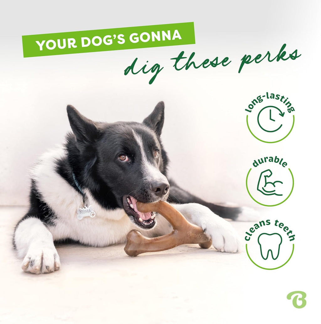 Benebone Wishbone Durable Dog Chew Toy for Aggressive Chewers, Real Bacon, Made in USA, Medium | Durable, Super Chewer, Made in USA, Dog Bones, Long-Lasting, A Size for Every Dog, Keeps Them Busy