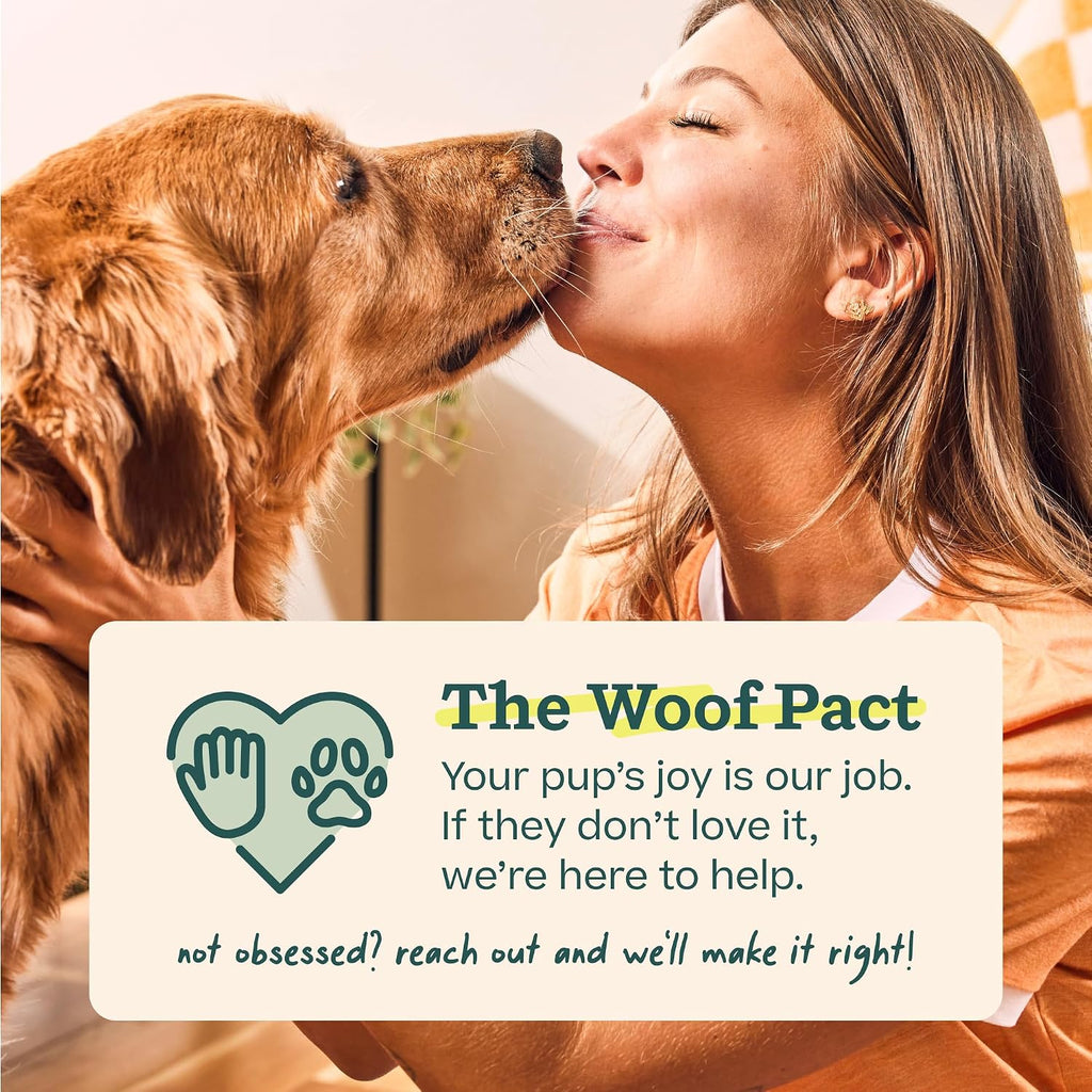 WOOF HonestChew Infinity Dog Chew Toy for Dogs Under 25 lbs | Plant-based materials, easy-grip design, splinter-resistant, durable chew, supports dental care