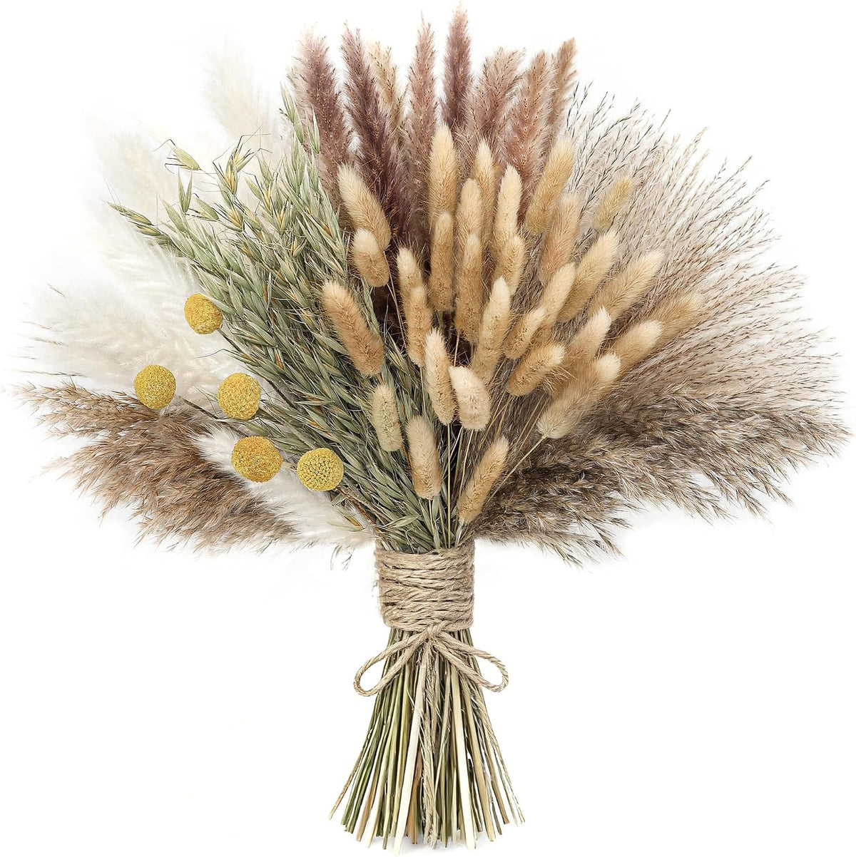 xin's convey 120 PCS Dried Pampas Grass, Dried Flowers, Reed Grass Bouquet for Bohemian Flowers Home Table Wedding Decoration, Rustic Farmhour.(Light Brown)