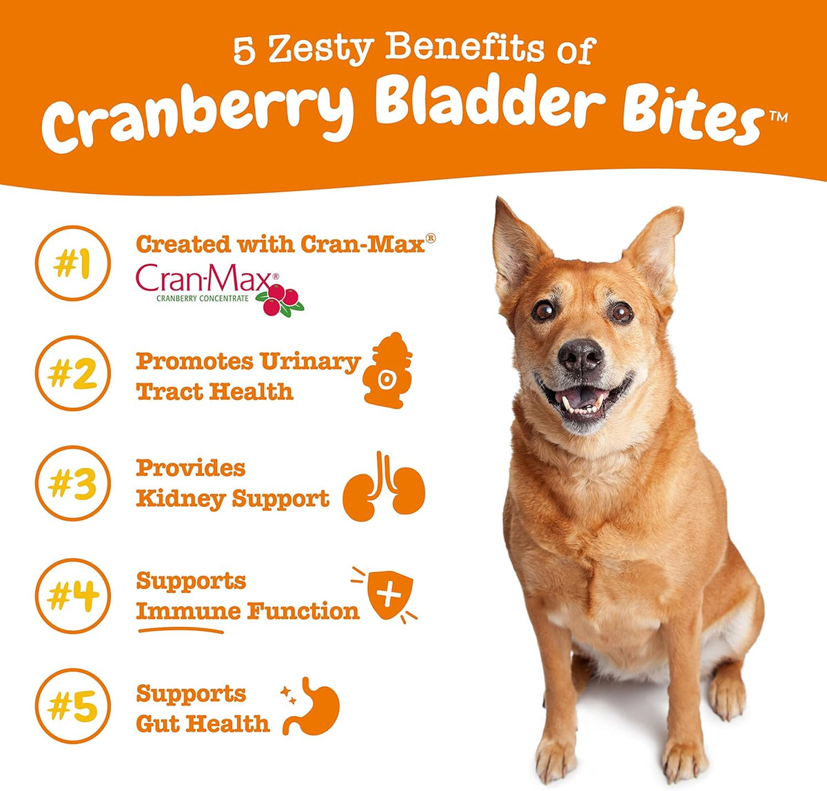 Zesty Paws Cranberry Supplement for Dogs - Bacon, 90 Ct