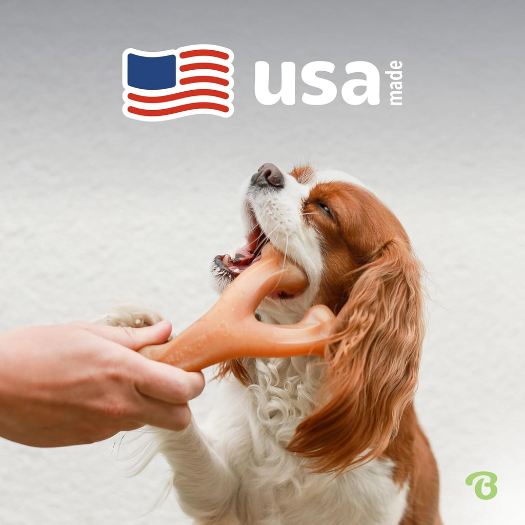 Benebone Wishbone Durable Dog Chew Toy for Aggressive Chewers, Real Bacon, Made in USA, Medium | Durable, Super Chewer, Made in USA, Dog Bones, Long-Lasting, A Size for Every Dog, Keeps Them Busy
