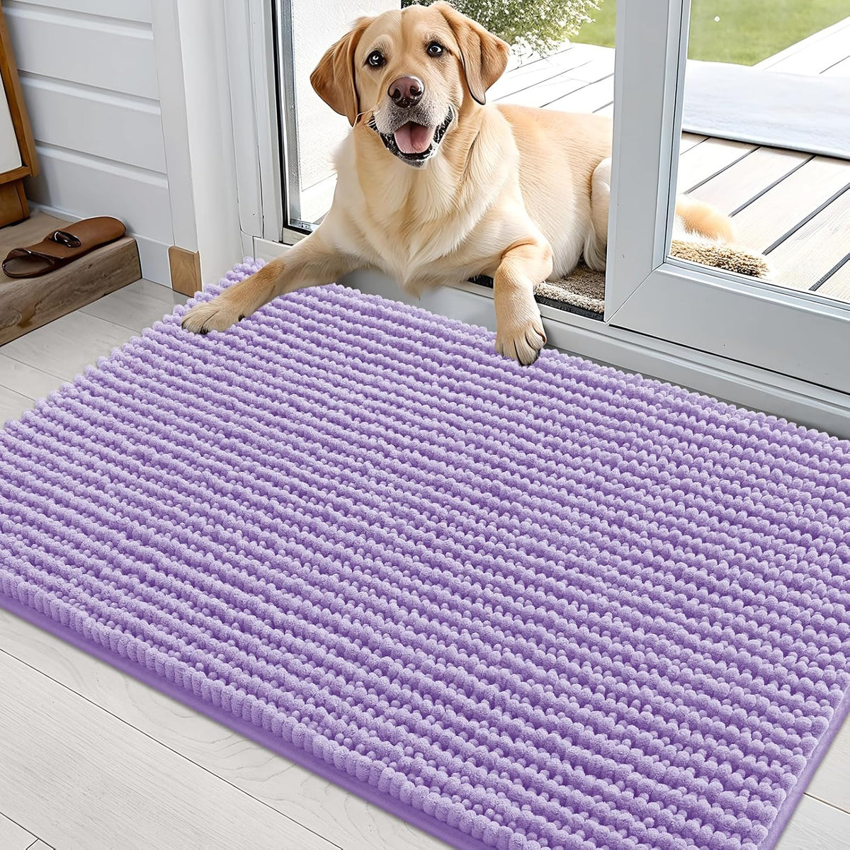 OLANLY Dog Door Mat for Muddy Paws 30x20, Extra Absorbent Chenille Mud Mat