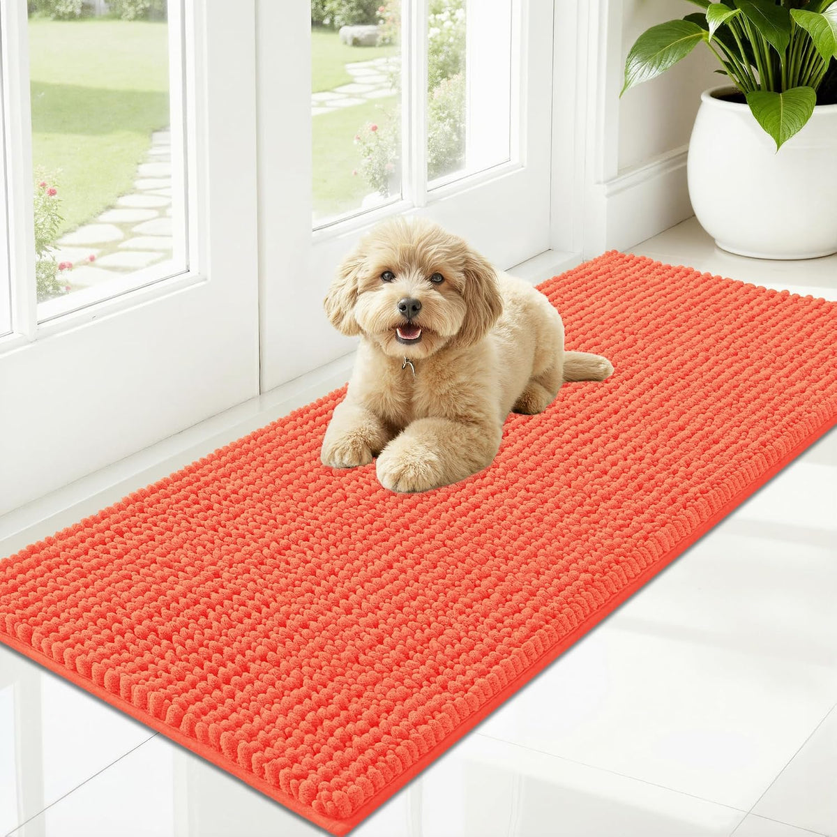 OLANLY Dog Door Mat for Muddy Paws 30x20, Extra Absorbent Chenille Mud Mat