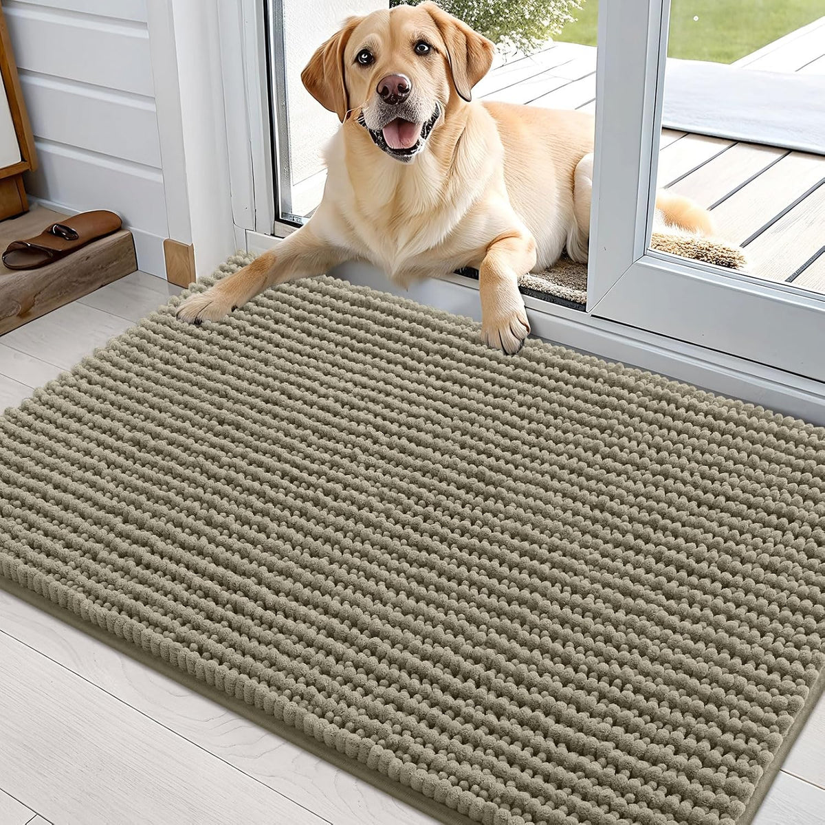 OLANLY Dog Door Mat for Muddy Paws 30x20, Extra Absorbent Chenille Mud Mat