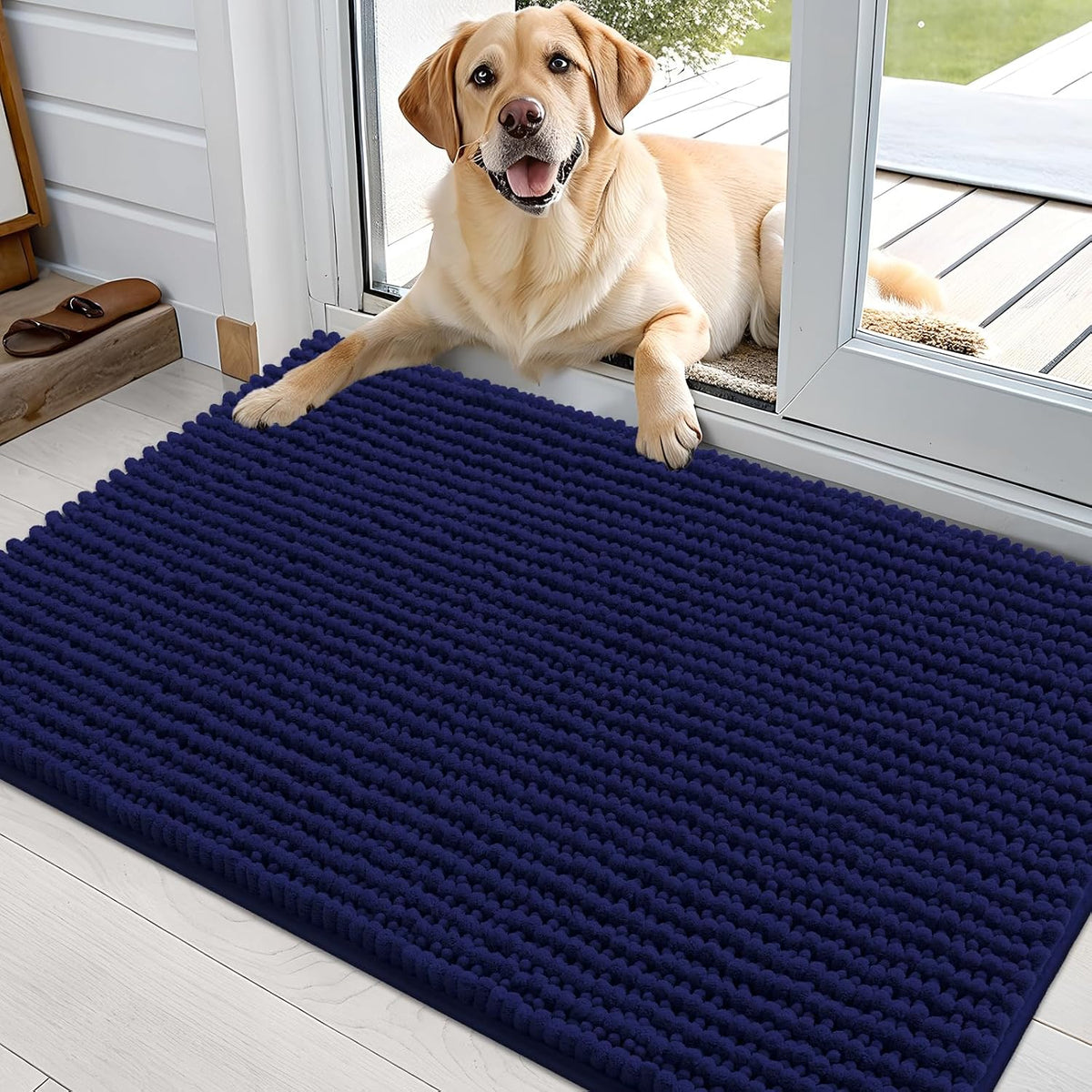 OLANLY Dog Door Mat for Muddy Paws 30x20, Extra Absorbent Chenille Mud Mat