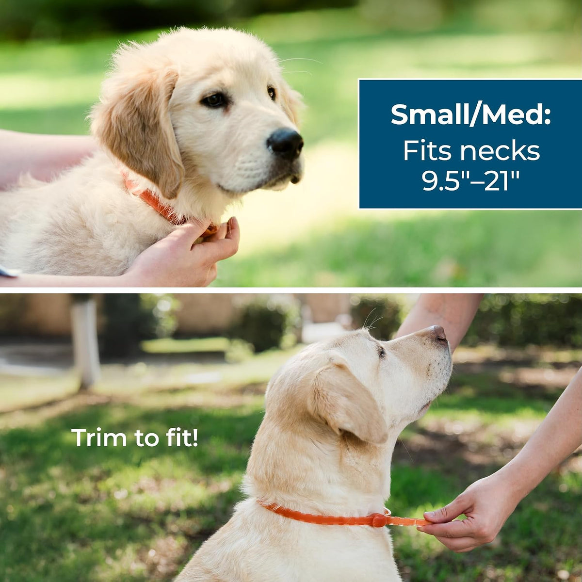 Wondercide Dog Collar - with Natural Essential Oils - 4 Months Protection | Flea, Tick, and Mosquito Repellent, Prevention for Dogs - Pet and Family Safe