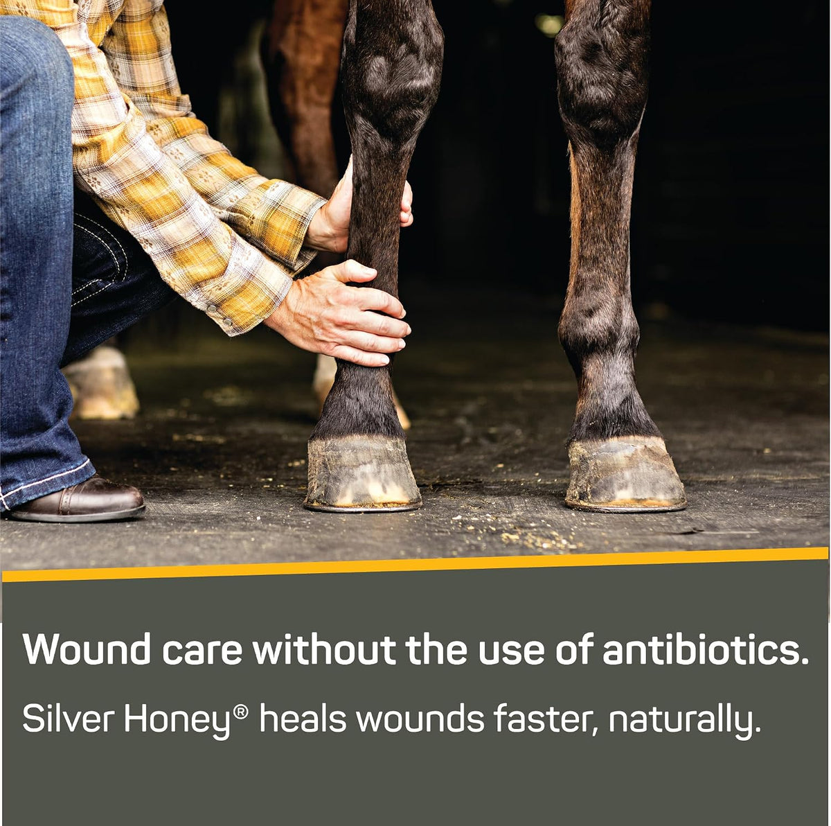 Silver Honey Rapid Wound Repair First Aid Spray Gel, 8 fl oz