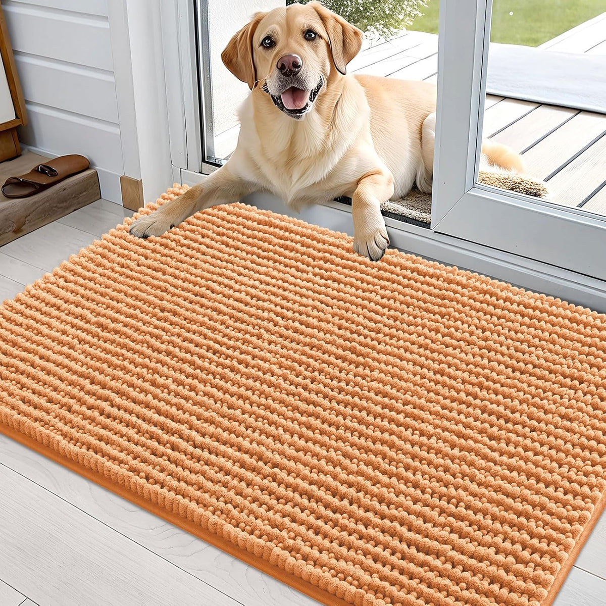OLANLY Dog Door Mat for Muddy Paws 30x20, Extra Absorbent Chenille Mud Mat
