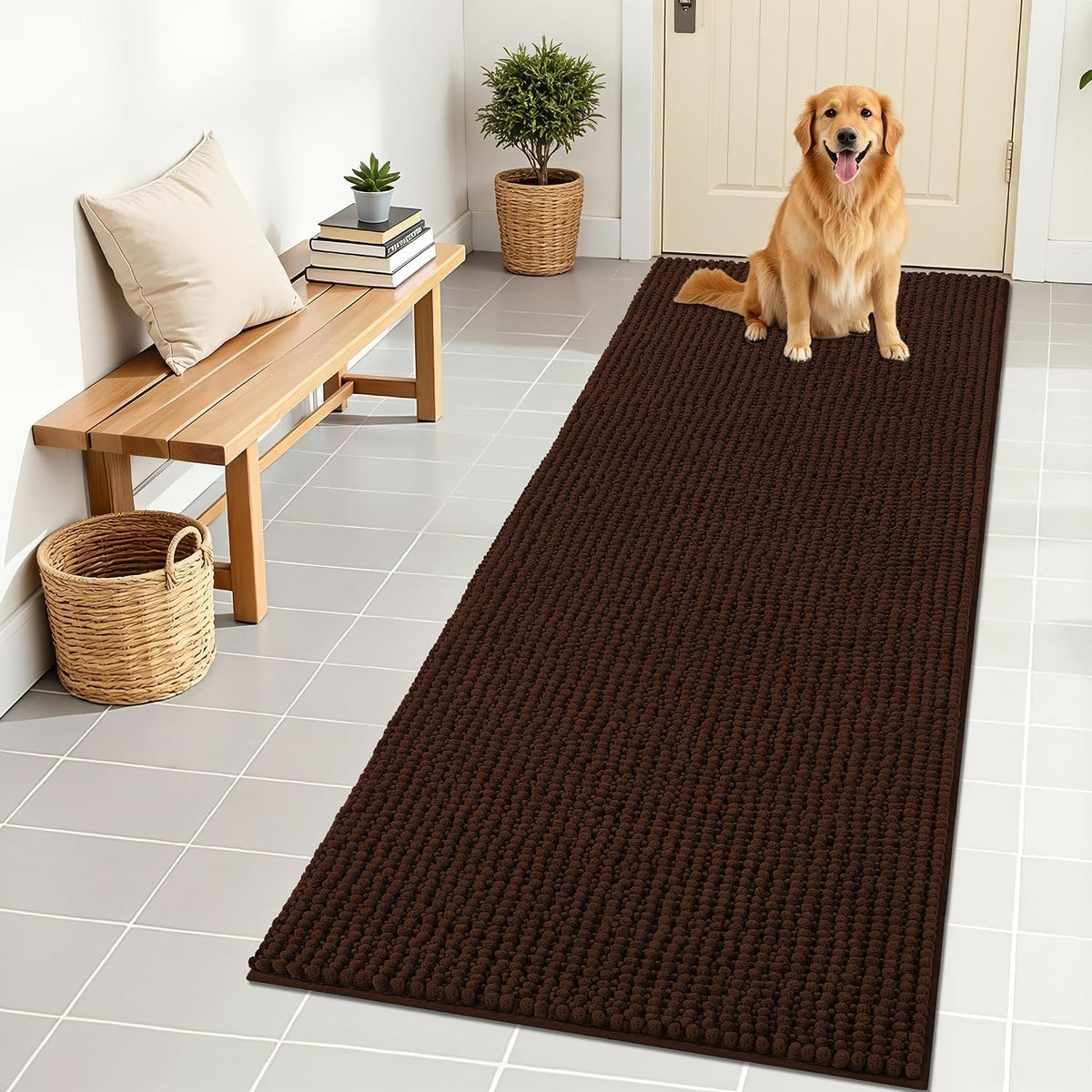 OLANLY Dog Door Mat for Muddy Paws 30x20, Extra Absorbent Chenille Mud Mat