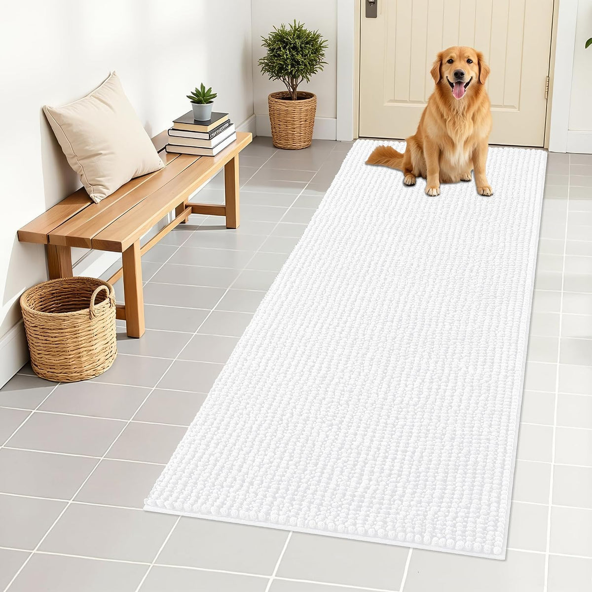 OLANLY Dog Door Mat for Muddy Paws 30x20, Extra Absorbent Chenille Mud Mat