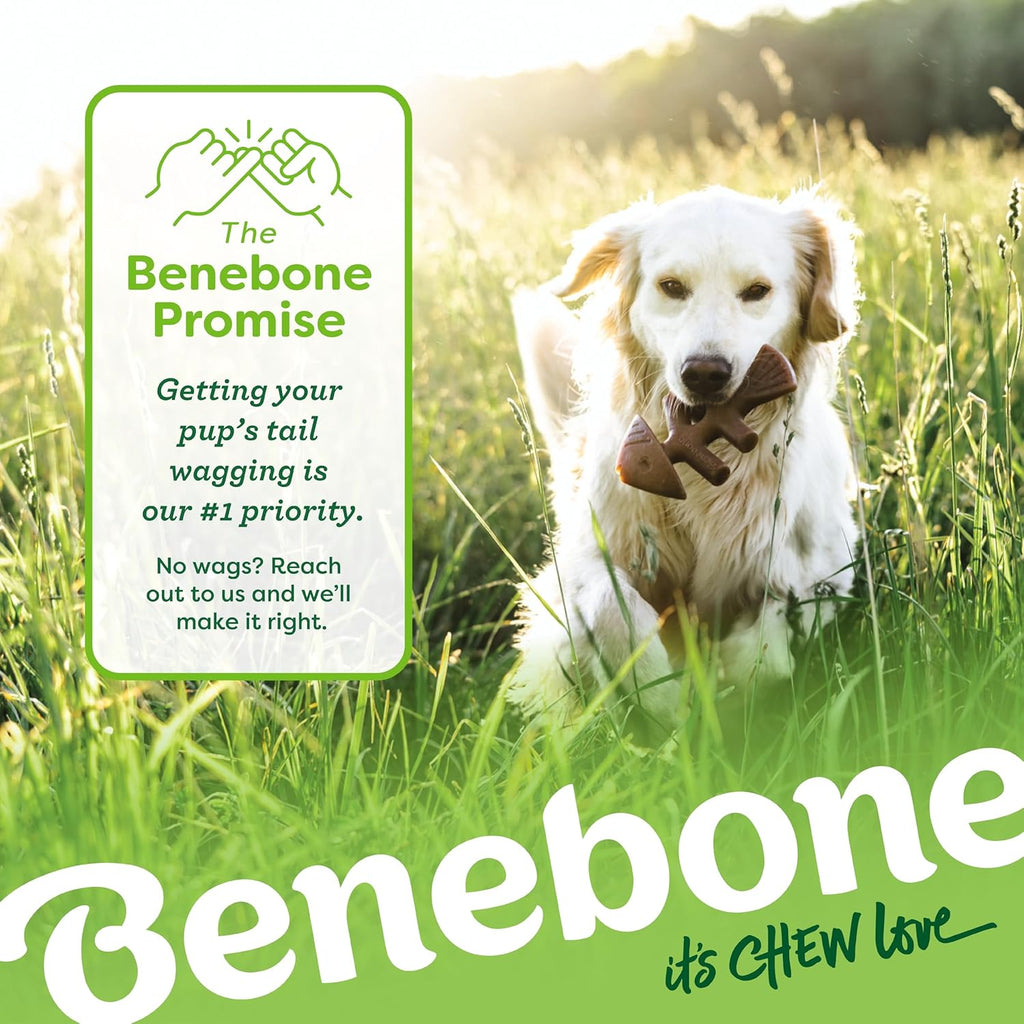 Benebone Small 4-Pack Dog Toys for Aggressive Chewers – Under 30 lbs | Durable, Multipack, Super Chewer, Made in USA, Dog Bones, Long-Lasting, A Size for Every Dog, Keeps Them Busy