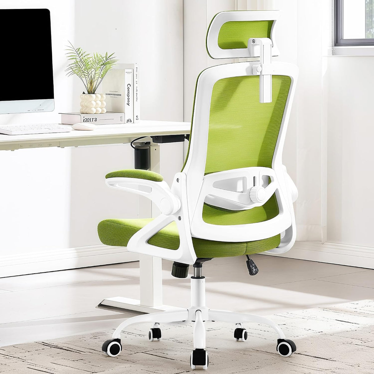 Fizzin Office Chair Mesh Computer Chairs with Adjustable Lumbar Support