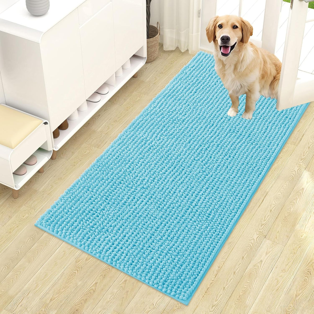 OLANLY Dog Door Mat for Muddy Paws 30x20, Extra Absorbent Chenille Mud Mat