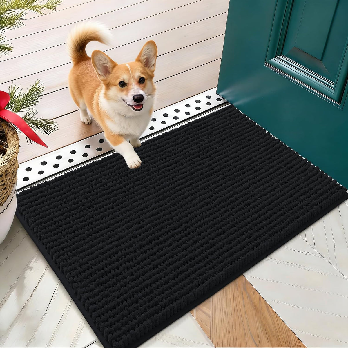 OLANLY Dog Door Mat for Muddy Paws 30x20, Extra Absorbent Chenille Mud Mat