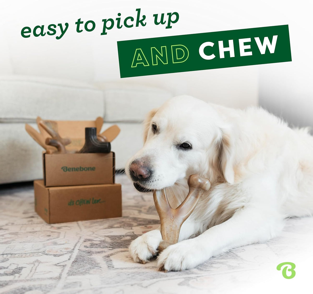 Benebone Small 4-Pack Dog Toys for Aggressive Chewers – Under 30 lbs | Durable, Multipack, Super Chewer, Made in USA, Dog Bones, Long-Lasting, A Size for Every Dog, Keeps Them Busy