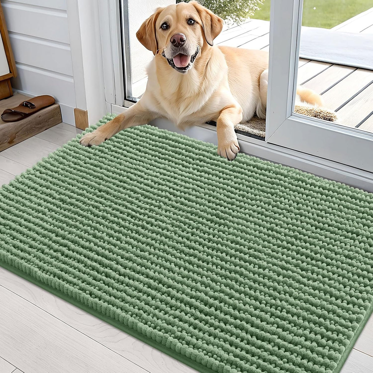 OLANLY Dog Door Mat for Muddy Paws 30x20, Extra Absorbent Chenille Mud Mat