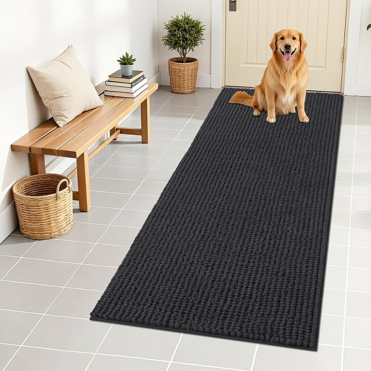 OLANLY Dog Door Mat for Muddy Paws 30x20, Extra Absorbent Chenille Mud Mat