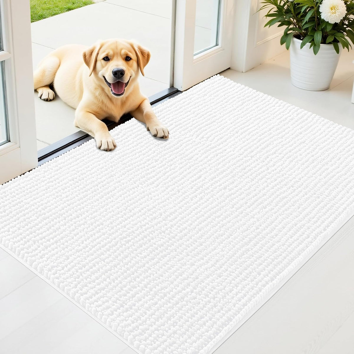 OLANLY Dog Door Mat for Muddy Paws 30x20, Extra Absorbent Chenille Mud Mat