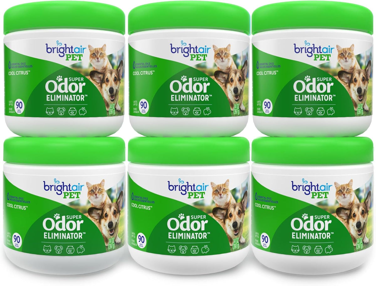 Bright Air 14 oz. Super Odor Eliminator, For Medium-Size Spaces, Cool & Clean Scent, Case of 6,Air Freshener, Natural Essential Oils, Lasts Up to 90 Days Each