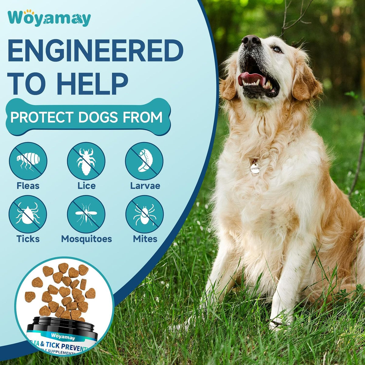 Woyamay Flea and Tick Prevention for Dogs, Dog Flea and Tick Treatment | Natural Flea Treatment Dogs Chews, Oral Flea Treatment for Dogs, Flea and Tick Chews for Dogs Puppies All Breeds, 200 Chews