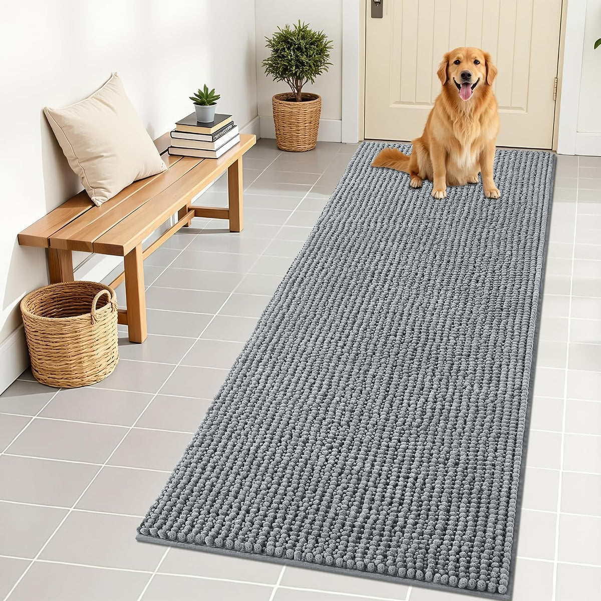 OLANLY Dog Door Mat for Muddy Paws 30x20, Extra Absorbent Chenille Mud Mat