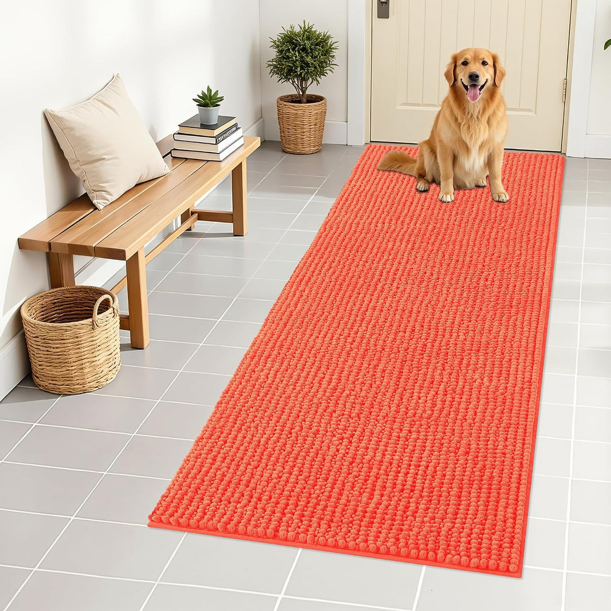 OLANLY Dog Door Mat for Muddy Paws 30x20, Extra Absorbent Chenille Mud Mat