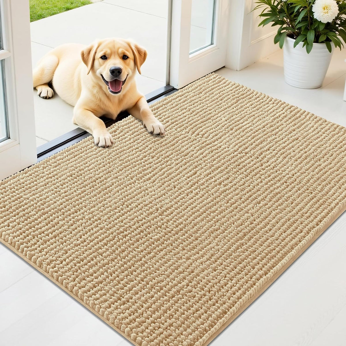 OLANLY Dog Door Mat for Muddy Paws 30x20, Extra Absorbent Chenille Mud Mat