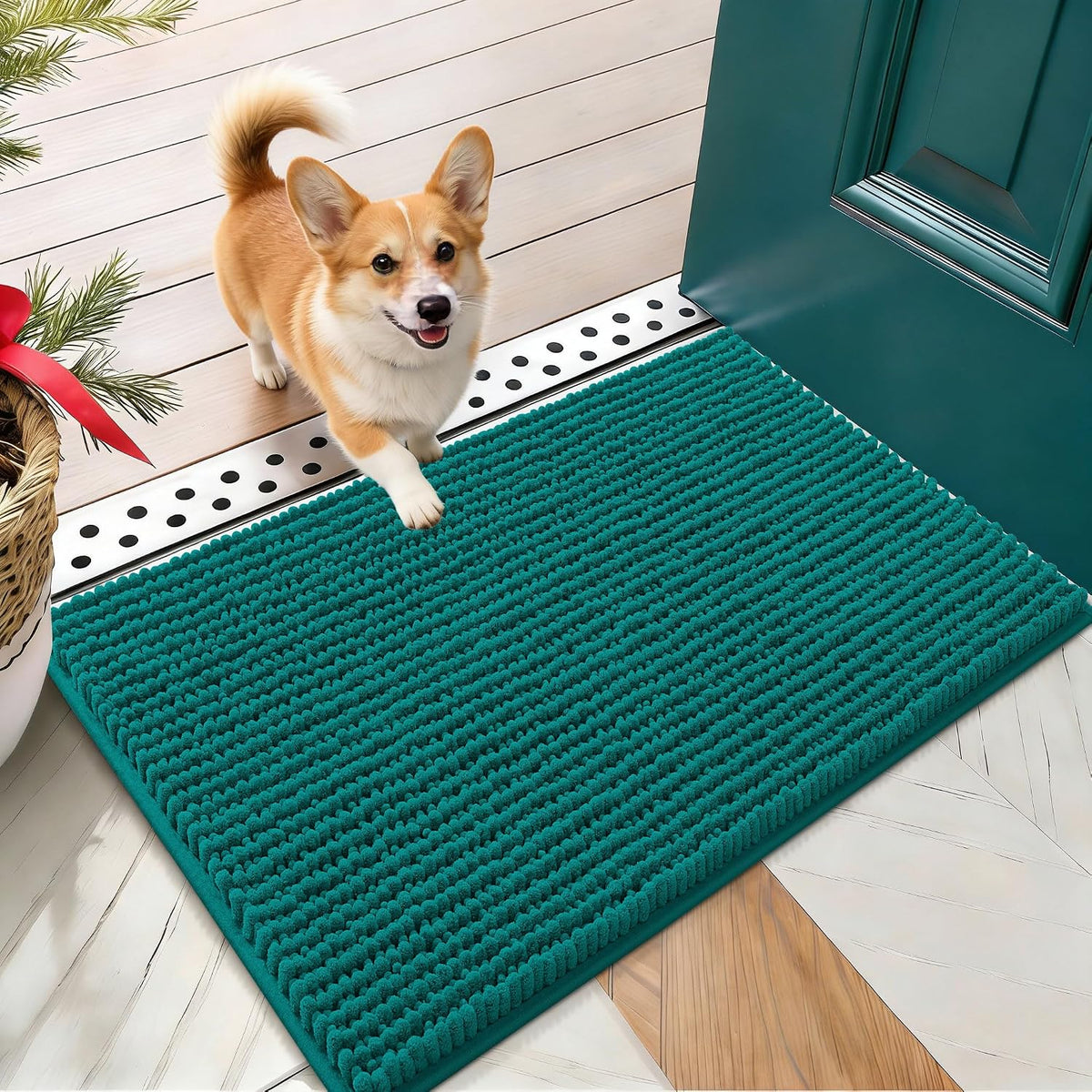 OLANLY Dog Door Mat for Muddy Paws 30x20, Extra Absorbent Chenille Mud Mat