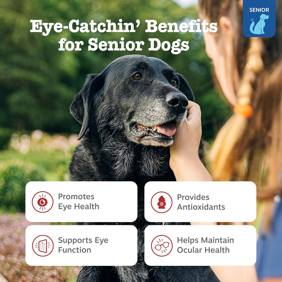 Zesty Paws Senior Dog Supplement - Eye & Vision Chews, Chicken, 90 Ct
