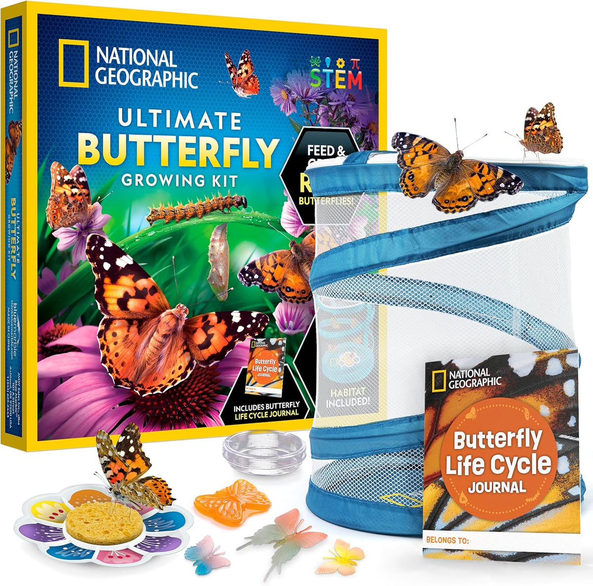 National Geographic Butterfly Growing Kit for Kids Nature Activity