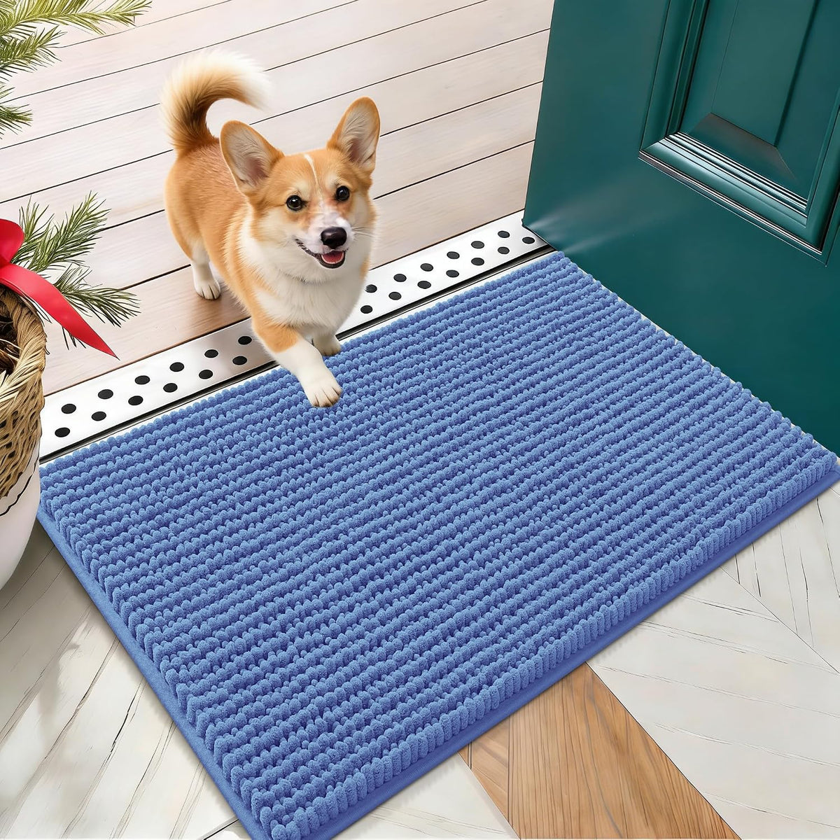 OLANLY Dog Door Mat for Muddy Paws 30x20, Extra Absorbent Chenille Mud Mat
