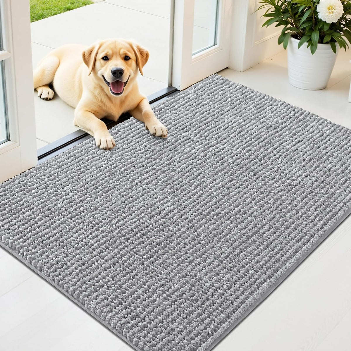 OLANLY Dog Door Mat for Muddy Paws 30x20, Extra Absorbent Chenille Mud Mat