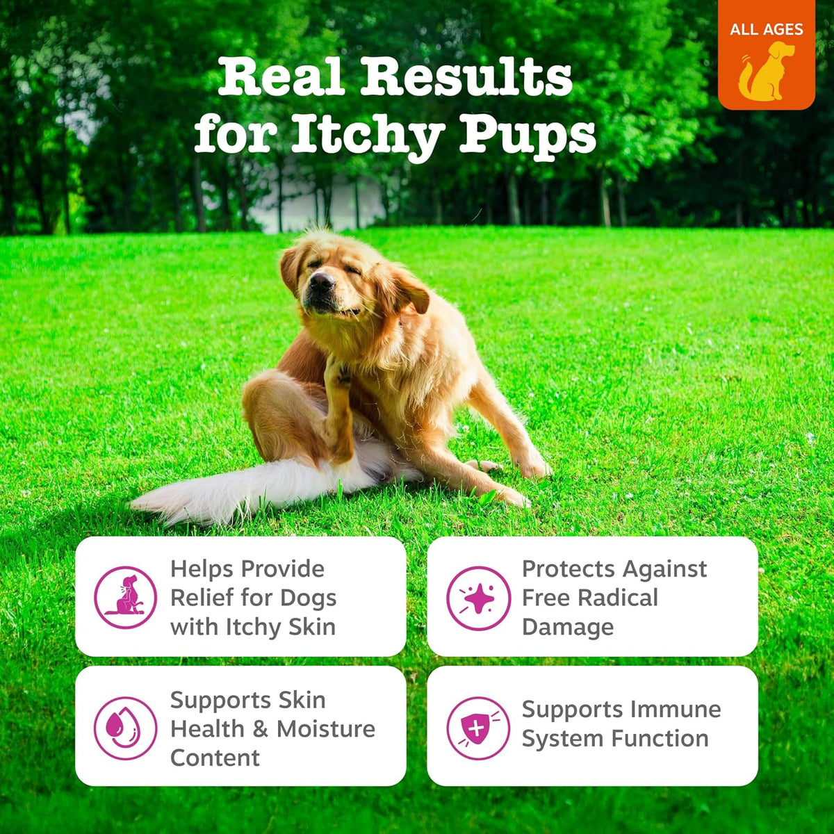 Zesty Paws Dog Itch Relief Chews - Omega-3 Fish Oil for Dogs, Chicken, 90ct