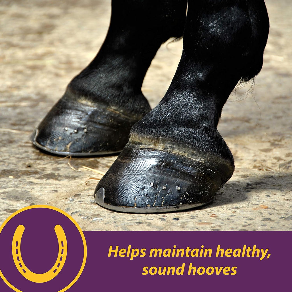 Horse Health Vita Biotin Crumbles Horse Hoof Supplement, 3 lbs