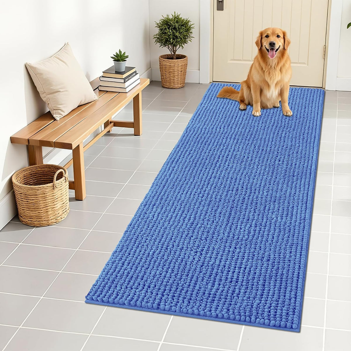 OLANLY Dog Door Mat for Muddy Paws 30x20, Extra Absorbent Chenille Mud Mat
