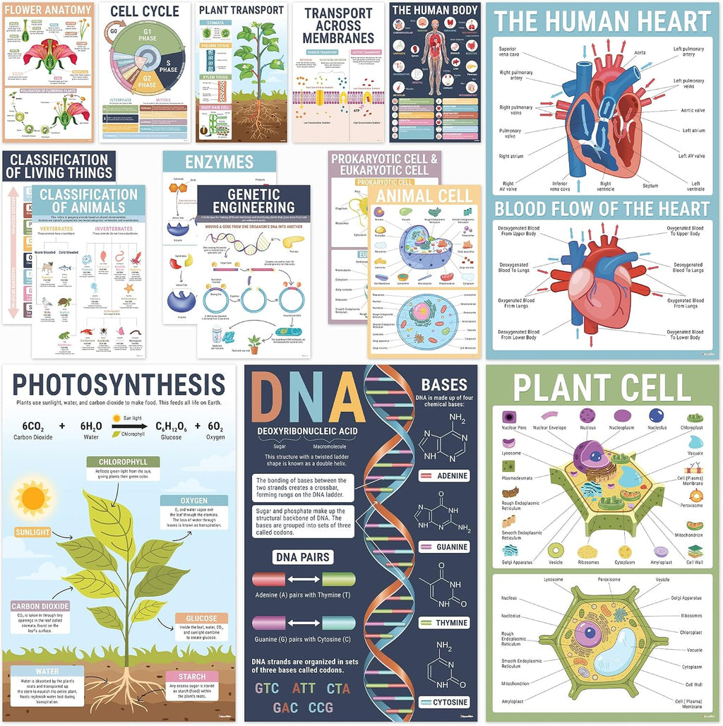 BRIGHTENKIDZ Earth Science Posters for Classroom, 15 Pack 11x17 Educational