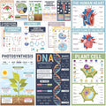 BRIGHTENKIDZ Earth Science Posters for Classroom, 15 Pack 11x17 Educational