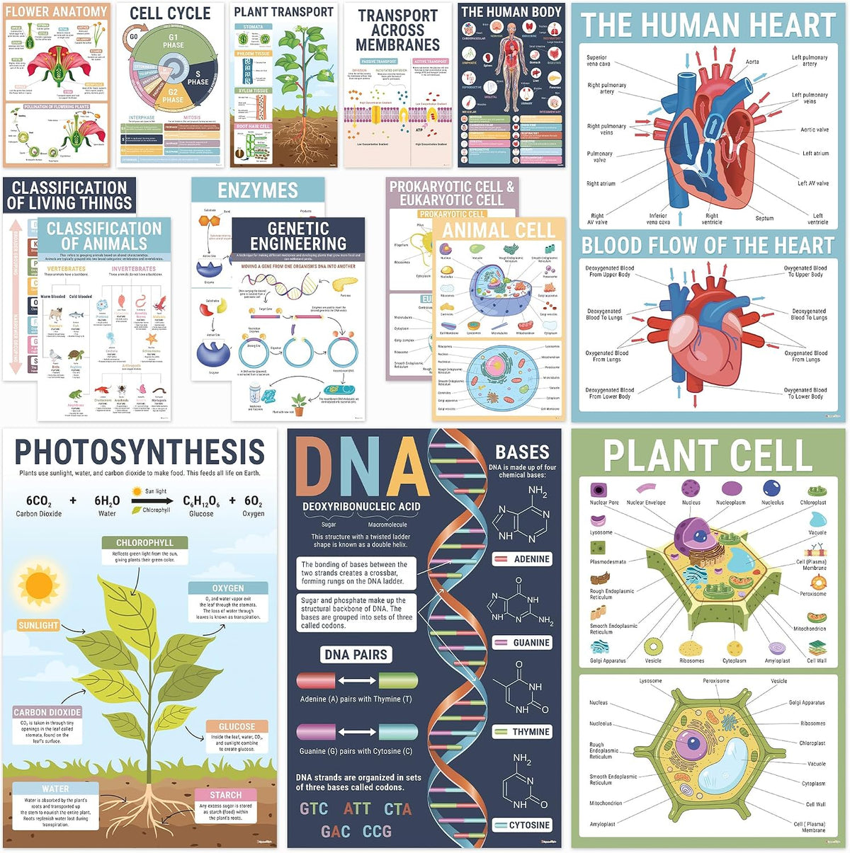 BRIGHTENKIDZ Earth Science Posters for Classroom, 15 Pack 11x17 Educational