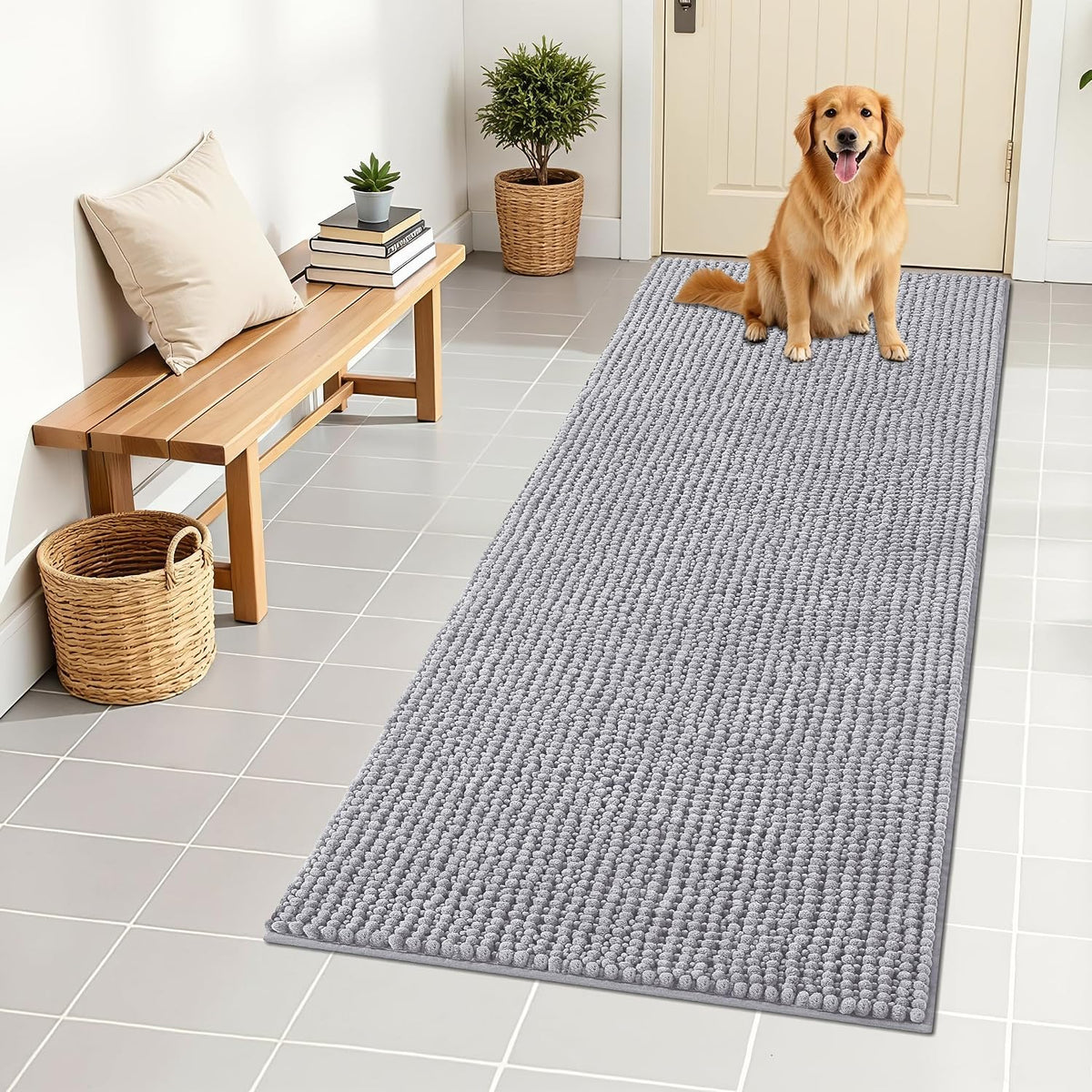 OLANLY Dog Door Mat for Muddy Paws 30x20, Extra Absorbent Chenille Mud Mat