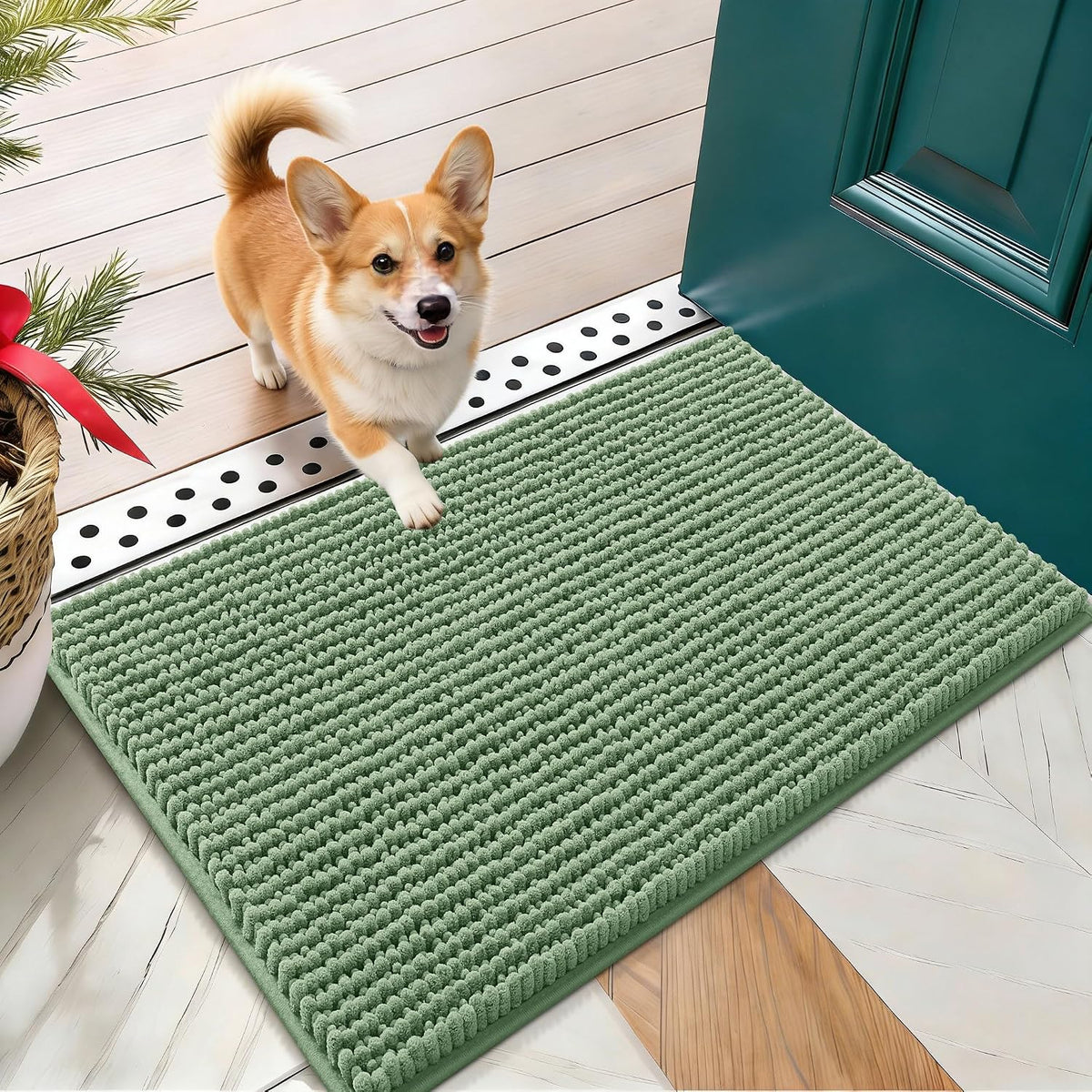 OLANLY Dog Door Mat for Muddy Paws 30x20, Extra Absorbent Chenille Mud Mat