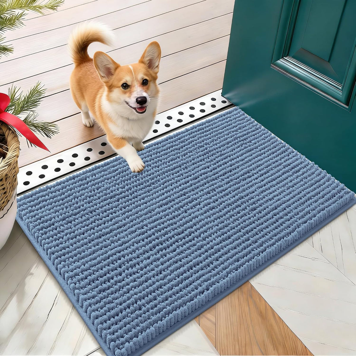 OLANLY Dog Door Mat for Muddy Paws 30x20, Extra Absorbent Chenille Mud Mat