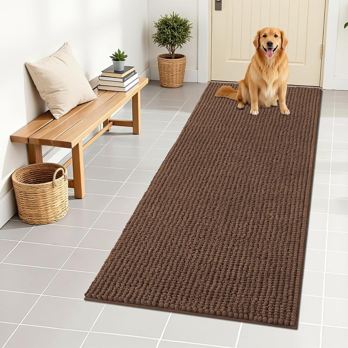 OLANLY Dog Door Mat for Muddy Paws 30x20, Extra Absorbent Chenille Mud Mat