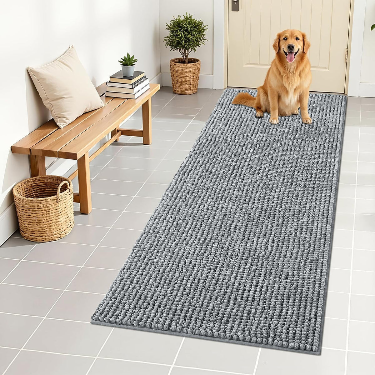 OLANLY Dog Door Mat for Muddy Paws 30x20, Extra Absorbent Chenille Mud Mat