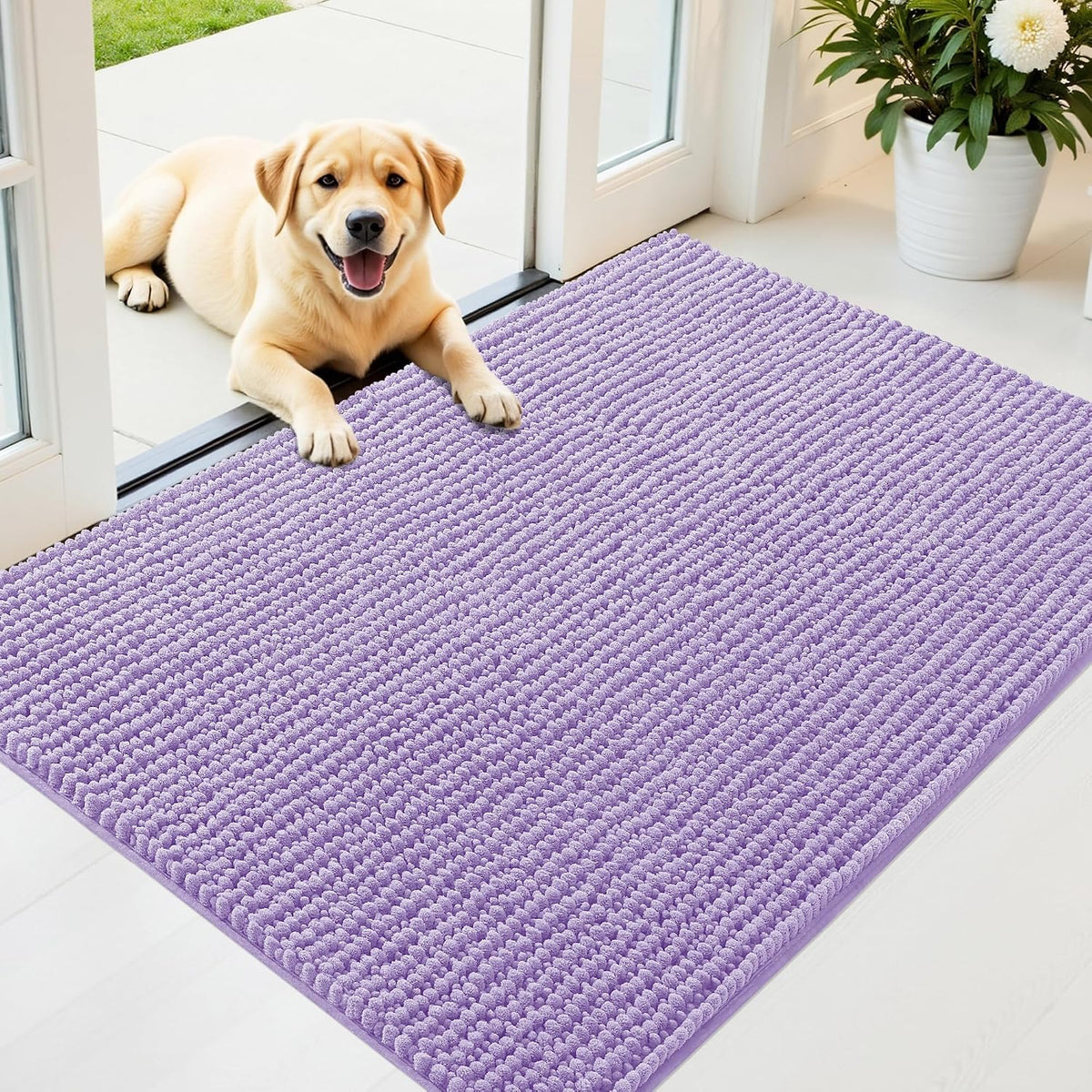 OLANLY Dog Door Mat for Muddy Paws 30x20, Extra Absorbent Chenille Mud Mat